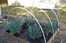 Hoop houses, also referred to as high tunnels or cold frames, are generally quonsetshaped and 34 site preparation construction of raised beds is recommended prior to hoop house assembly. How To Build A Hoop House Modern Farmer