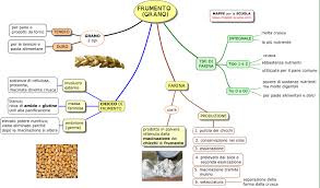 I pastifici che propongono pasta con grano duro italiano sono pochi. Mappe Per La Scuola Frumento E Farina