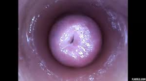 マンコの中の無料エロ動画 | xHamster
