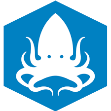 Kraken JS Logo transparent PNG - StickPNG