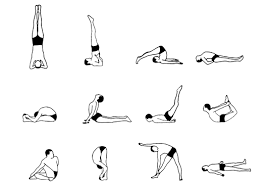 Yoga asanas are critical to human health. 12 Basic Asanas Of Hatha Yoga And Its Benefits By Rakesh Pradhan Rakesh Yoga Medium