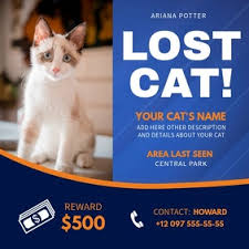 Learn how to get the most out of your flyers by visiting our tips for posting lost and found pet flyers page. 2 160 Lost Animal Customizable Design Templates Postermywall