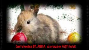 Check spelling or type a new query. Dr Andea Laurentiu Medical Opti Lux AcasÄ Facebook