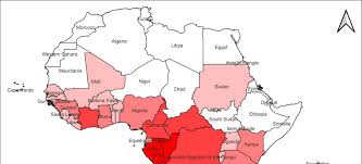 Image result for Synsepalum passargei