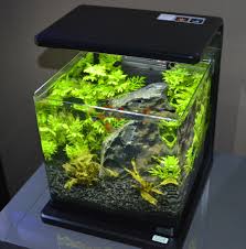 Desktop Aquarium Aquarium Mini Aquarium Desktop Aquarium