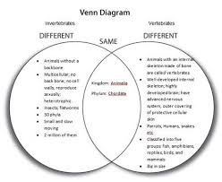 Vertebrate Invertebrate Anchor Chart Google Search Vertebrates And Invertebrates Vertebrates Invertebrates