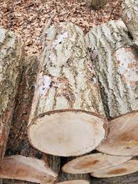 Look up the different bark images of pine and compare them to your logs. Identify These 3 Firewood Logs Please Firewood Hoarders Club