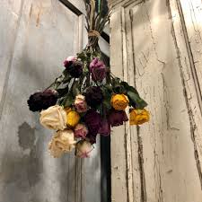 Get flowers from our toronto flower shop. Wilbe Bloggin The Beauty Of Dried Flowers Wilbe Bloomin Kensington Market S Flower Emporium Toronto Ontario