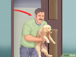 Mit etwa vier monaten kann der hund seine blase und den darm dann etwas länger kontrollieren. Einen Welpen In Einer Wohnung Stubenrein Bekommen 10 Schritte Mit Bildern Wikihow