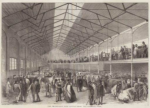 The Smithfield Club Cattle Show, 1851, General View stock image | Look and Learn