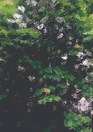 Bildergebnis für Lise Harlev