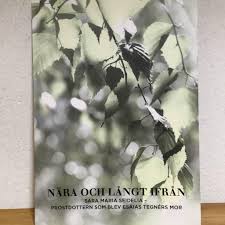 Image result for Seidelia