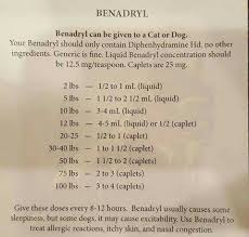 Many cats also become nervous or irritated when traveling in a the risk of severe side effects is relatively low when giving your cat benadryl as long as the proper dosage is given. Benadryl For Dogs Pet Remedies Benadryl For Dogs Dosage Meds For Dogs