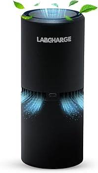 Amazon.com: Lab Charge Small Ionic Air Purifier for Home & Bedroom &ndash; Silent HEPA Filter &ndash; Covers 250 Sq Ft - Free Cleaner for Pets, Hair, Smoke, Dust, Odors & Dander &ndash;