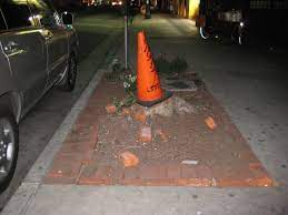 Spatial Agency Guerrilla Gardening