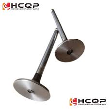 Hcqp Part Yuchai Intake Exhaust Valve 330-1007011d D30-1003103A for Yuchai  Engine Yc6j125z-T21 Yc4d Yc4108