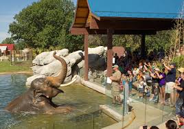 Experience the beauty of colorado with your family when you visit one of these best family vacation spots in colorado. Survival Guide A Zoo Trip With Kids 5280