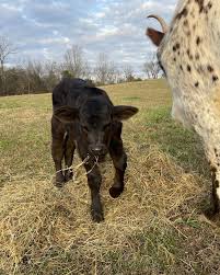 Masterson Performance...