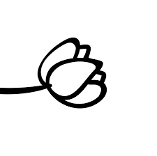 Black And White Dark Theme Dividers Instagram 12 New Instagram Feed Dividers To Make Your Feed Super Pretty And Organized Lu Amaral Studio In 2020 Instagram Feed Instagram Spacers Instagram Feed Inspiration