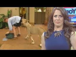 Best Animal News Bloopers Compilation 2018 Youtube Bloopers Funny Animal Videos Animals