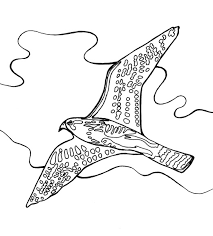 Disegno Aquila Da Colorare Poiana Da Colorare Rapace Da Colorare Fattoria Didattica Provincia Di Mantova