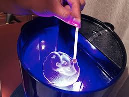 Открыть страницу «jellyfish tank» на facebook. Now You Can Have Pet Jellyfish At Home Bored Panda