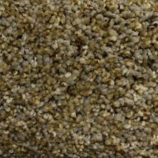 Petprotect bark to the future ii textured carpet sample (interior) find my store. 17 Best Carpet Samples Ideas Carpet Samples Stainmaster Carpet
