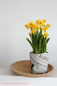 Kultur Pflanze Blumentopf Aus Papier Diy Blumentopf Basteln Mit Zeitungspapier Papier