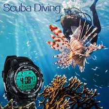 Image result for diving watch