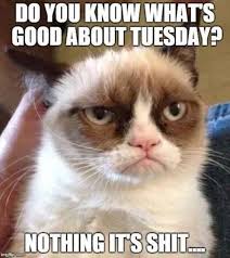 We've found anything funny, popular or viral to share here with you. 95 Funny Tuesday Memes Images Of Happy Tuesday Quotes Boom Sumo