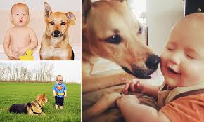 Amazing photos show toddler Carter and his dog Toby's bond