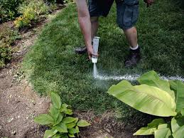 We did not find results for: Diy Paver Edging You Can Mow Hgtv