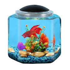 Hawkeye 2 Gallon Betta Hex Fish Tank With Led Lighting Walmart Com Betta Fish Tank Betta Fish Bowl Fish Tank