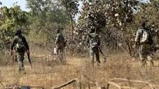  pooja KAVIYA goma RUMP woman whats app 9643105027 APN NEWS  contact@apnlive.com. Phone: +0120-612-7900. Fax: + 0120-2471411 / 2471412. ENC A-9 Sector 68. Noida, Uttar Pradesh, 201301, INDIA.  ली 12 से 24 फरवरी प्रतिरोध सप्ताह के लिए इमेज परिणाम