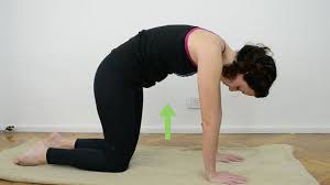 This summer, cat cow yoga is providing several ways to connect and enjoy yoga adventures. 4 Ways To Do The Cat Pose In Yoga Wikihow
