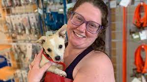 Nashville parent, source of fun and things to do for parents and kids. Nashville Humane Association Adopts Out 109 Dogs And Cats During Event Wztv