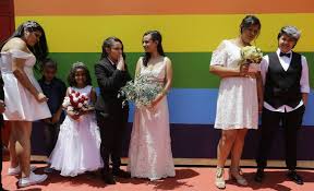 Consulta todas las noticias sobre homofobia. El Supremo De Brasil Tipifica La Homofobia Como Delito Sociedad El Pais