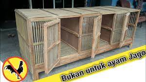 Kandang ayam bangkok dengan 4 pintu, tingkat atas bawah. Kandang Out Door Minimalis Kandang Ayam 2 Pintu Youtube