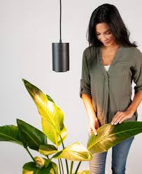 A gleaming chrome finish pairs with a white glass shade in a traditional style that fits well in a small space such as a closet. Large Grow Light Bloomscape