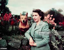 258,872 Elizabeth Ii Photos and Premium High Res Pictures - Getty Images