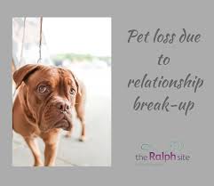 Grieving the loss of a pet after euthanasia uk. Losing A Pet Because Of A Relationship Breakup