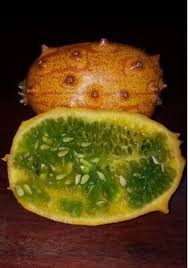 Image result for Cucumis metuliferus