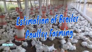 Pin By Mallesh On My Saves In 2021 Poultry Farm Poultry Best Small Business Ideas
