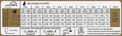 Before getting your first frenchie breed dog. How Much Should I Feed My Pug Puppy Feeding Guide Chart Times