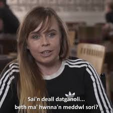 "Sai'n deall datganoli... beth ma' hwnna'n meddwl sori?" 🤷🏼, Ugain  mlynedd ers sefydlu Cynulliad Cenedlaethol Cymru, faint mae pobl wir yn  gwybod am ddatganoli? 🤦🏻 #Datganoli20