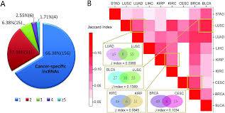 identification of cancer prognosis associated lncrnas based