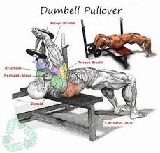 Resultado De Imagem Para Shoulder Training Bodybuilding Workouts Dumbell Pullover Shoulder Workout