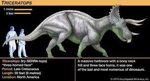 Triceratops Description Size Fossil Diet Facts Britannica