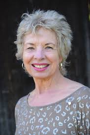 City Asked to Look at Other Ideas for Pleasanton Economic Zone