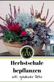 Pin Von Monika Auf Herbstdeco Herbst Schals Herbst Dekoration Und Pflanzen